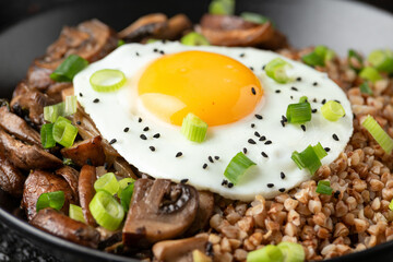 Bowl of Buckwheat with mushrooms, onion and egg. Healthy food