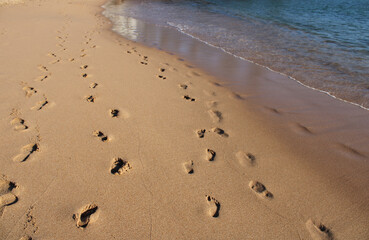 Footprints in the sand on the seashore 