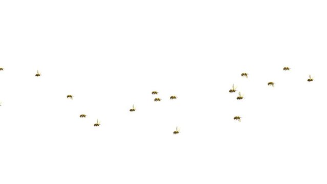 Bee flying in beehive, Honeybee with flying antenna. Working insects and nature concept. Bee with yellow wings flying on bee hive. Beehive and apiary work. Spring natural beekeeping concept.