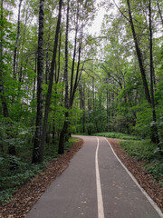 Fototapeta na wymiar Path with a bike lane