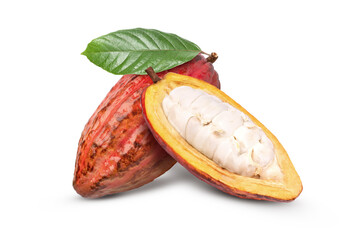 Red cocoa fruits on white	