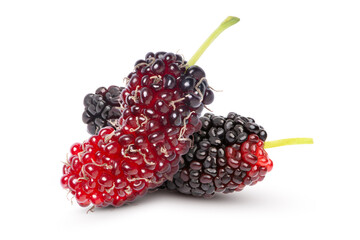 Mulberry on white