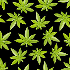 Cannabis leaves seamless pattern. Growing hemp, medical marijuana, recreational weed concept 3D style hippie background.