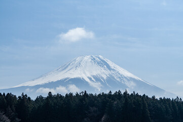 静岡県富士宮市朝霧高原からの富士山