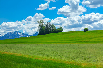 Rolling green hills with snowy mountains