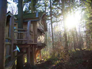 Idyllisches Baumhaus im Wald bei Sonnenaufgang