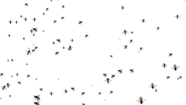 Bee flying on hive. Beehive or apiary with huge honey in Loop background. Honeybees collecting honey. Swarm of Mosquitoes, Flies, Bees, Insects. swarm pollen in spring. flying on beekeeping.