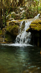 A small mountain waterfall on the river in a picturesque place with moss and trees