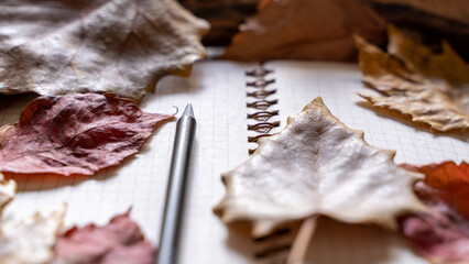 opened notebook, dry leaves on plain stone surface table. Reading, literature, poetry, library and autumn fall concept photo.