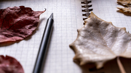 opened notebook, dry leaves on plain stone surface table. Reading, literature, poetry, library and autumn fall concept photo.