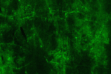 Grunge textured dark green old concrete wall surface for background