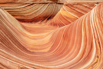 The Wave, North Coyote Buttes, Paria Canyon-Vermilion Cliffs Wilderness of the Colorado Plateau