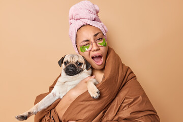 Sleepy young European woman yawns winks eye keeps mouth opened wears towel wrapped in blanket holds pug dog winks eye isolated over brown studio background. Female model with pedigree pet indoors