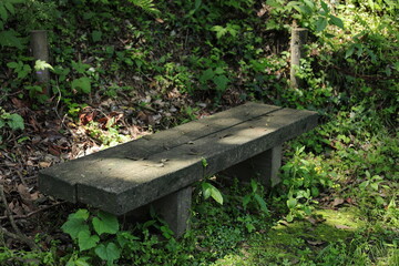 bench in the park