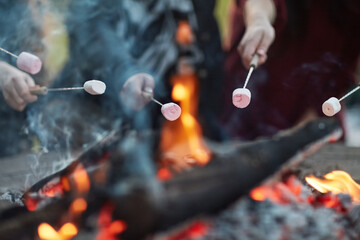 Its a campsite tradition. Shot of a group of unidentifiable friends roasting marshmallows by a campfire.