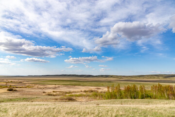 Burtinskaya steppe (Orenburg nature reserve). Orenburg region, Southern Urals, Russia.