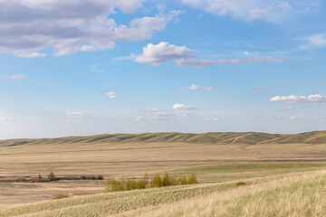 Fototapeta na wymiar Burtinskaya steppe (Orenburg nature reserve). Orenburg region, Southern Urals, Russia.