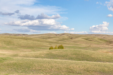 Burtinskaya steppe (Orenburg nature reserve). Orenburg region, Southern Urals, Russia.