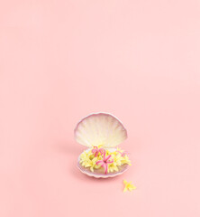 Beautiful seashell full of fresh hyacinth flowers on gray background. Concept of value of sea shell...