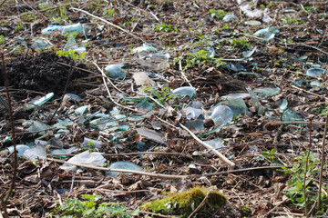 Landfill of broken glass in the woods
