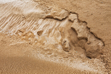 background with sand and dry twig. scree sand. sand on the beach. place for text.