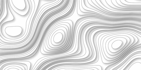 Abstract background vector pattern in illustration . 3D papercut layers, Abstract paper cut white background in illustration .topographic canyon map light relief texture. White background wave .