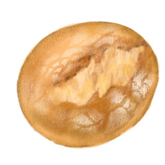 Fresh baked rye bread bun bakery hand drawn illustration