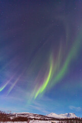 Abisko, Aurora Borealis in Lapland. Sweden lights in the sky full of stars. Land of the Sami people. 
Solar wind colors