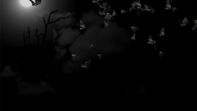 Bats Animation Halloween Black Bats Flying 4K on Green screen background. horror, Halloween, grunge, fairy-tale, fantasy, magic and witchery projects as dramatic, spooky and scary background