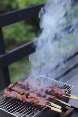 beef barbecue grilled with smoke for picnic.
