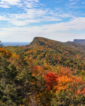 Beautiful Fall Foliage Colors Beginning To Show On A Mountain Ridge. Shawangunk Mountains, New York
