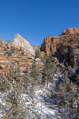 Fototapeta na wymiar Scenic Snow Covered Zion National Park Utah Landscape