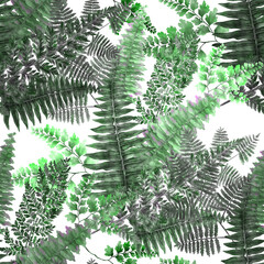 Watercolor seamless pattern with fern leaves. Foliage decoration. Vintage botanical exotic illustration wallpaper.	