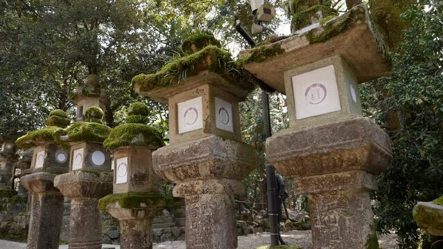 Japanese stone lanterns in a Kasuga Taisha shrine covered with moss. High quality FullHD footage
