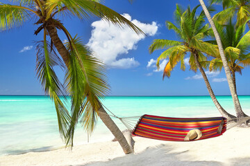 Fototapeta na wymiar tropical island, perfect place for recreation in a hammock