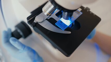 a medic or scientist examines bacteria in a microscope
