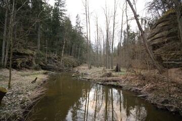 Peklo, Czechia - March 26, 2022: Robecsky potok creek in spring