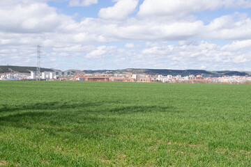 Paisaje de campos de cultivo verde en primavera.