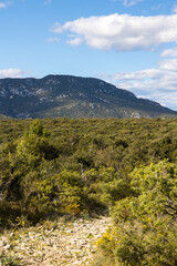 Obraz premium Vue sur le Pic Saint-Loup depuis le Bois de Lèque à Les Matelles (Occitanie, France)