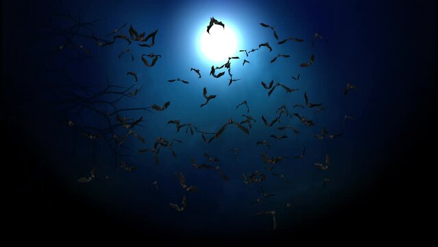 4K Loop Background of Halloween Night Animatio. flying Bats Halloween Night festival. NIght sky, flying bats, Horror house, animated trees and grasses Scary night. Grunge, fairy-tale, fantasy, magic