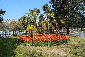 aiuole fiorite a sirmione lago di garda