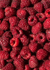 close up of raspberries