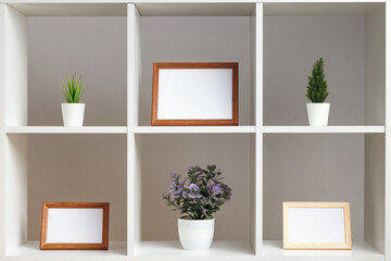 White shelves with potted plants and photo frames. Home interior, decor elements.