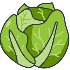 cabbage line icon
