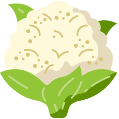 cauliflower flat icon