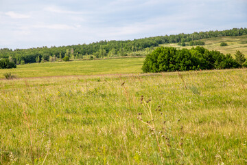 Toratau shihan. Sterlitamak city, republic Bashkortostan, Russia