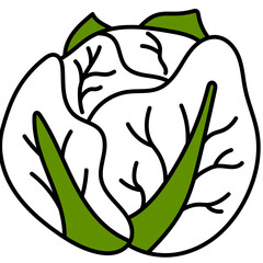 cabbage one color icon