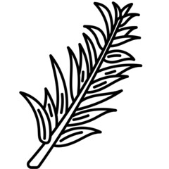 rosemary line icon