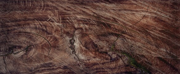 The crack on the surface of the cut wood.