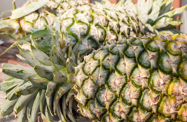 Obraz premium Fresh pineapple close up. Background.